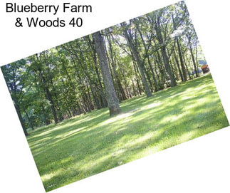 Blueberry Farm & Woods 40