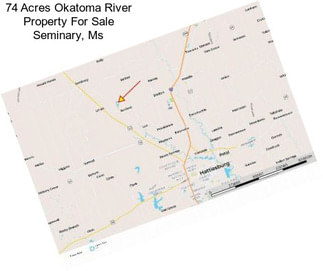 74 Acres Okatoma River Property For Sale Seminary, Ms