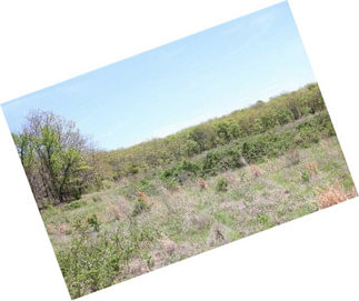 310 Acres With Improved Pastures Vian, Ok
*seller Open To All Offers*