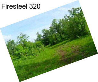 Firesteel 320