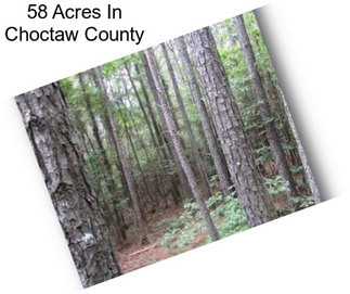 58 Acres In Choctaw County