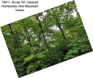 150+/- Acres W/ Cleared Homesites And Mountain Views