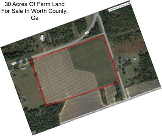 30 Acres Of Farm Land For Sale In Worth County, Ga