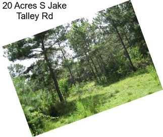 20 Acres S Jake Talley Rd