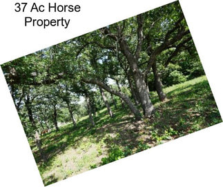 37 Ac Horse Property