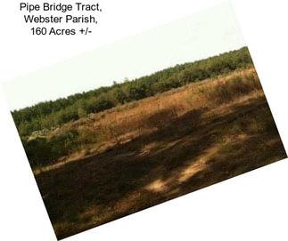 Pipe Bridge Tract, Webster Parish, 160 Acres +/-