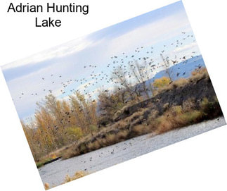 Adrian Hunting Lake