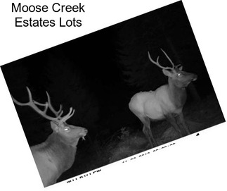 Moose Creek Estates Lots