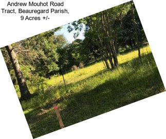 Andrew Mouhot Road Tract, Beauregard Parish, 9 Acres +/-