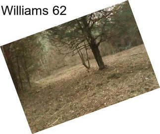 Williams 62