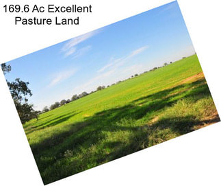 169.6 Ac Excellent Pasture Land