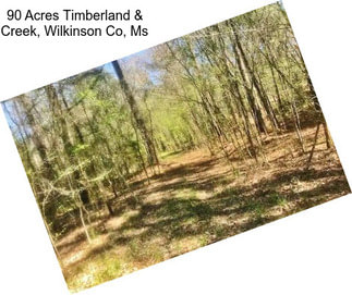 90 Acres Timberland & Creek, Wilkinson Co, Ms