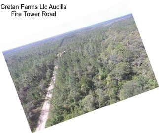 Cretan Farms Llc Aucilla Fire Tower Road