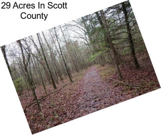 29 Acres In Scott County