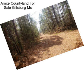 Amite Countyland For Sale Gillsburg Ms