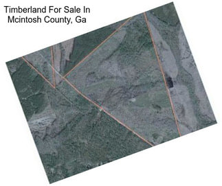 Timberland For Sale In Mcintosh County, Ga