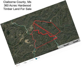 Claiborne County, Ms 360 Acres Hardwood Timber Land For Sale