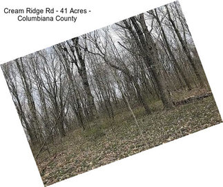 Cream Ridge Rd - 41 Acres - Columbiana County