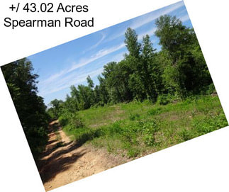 +/ 43.02 Acres Spearman Road