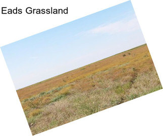 Eads Grassland