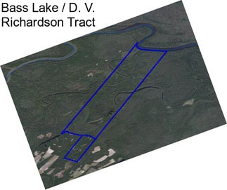Bass Lake / D. V. Richardson Tract