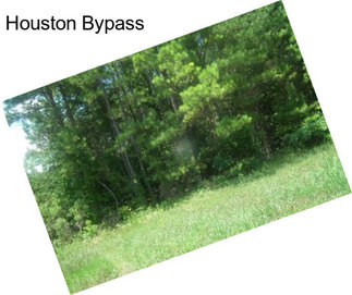 Houston Bypass