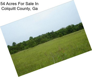 54 Acres For Sale In Colquitt County, Ga