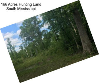 166 Acres Hunting Land South Mississippi