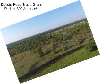 Dubois Road Tract, Grant Parish, 300 Acres +/-