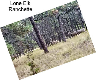 Lone Elk Ranchette