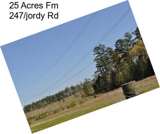 25 Acres Fm 247/jordy Rd