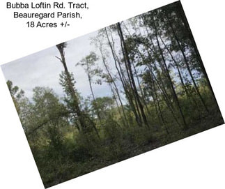 Bubba Loftin Rd. Tract, Beauregard Parish, 18 Acres +/-