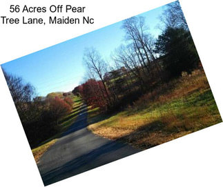 56 Acres Off Pear Tree Lane, Maiden Nc