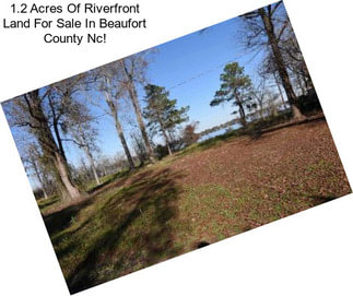 1.2 Acres Of Riverfront Land For Sale In Beaufort County Nc!