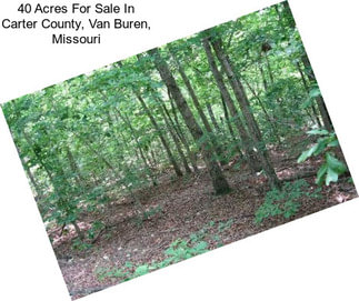 40 Acres For Sale In Carter County, Van Buren, Missouri