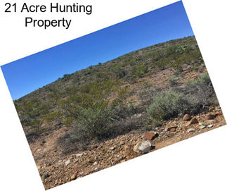 21 Acre Hunting Property