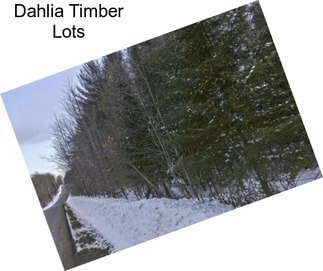 Dahlia Timber Lots