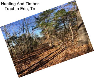 Hunting And Timber Tract In Erin, Tn
