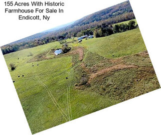 155 Acres With Historic Farmhouse For Sale In Endicott, Ny