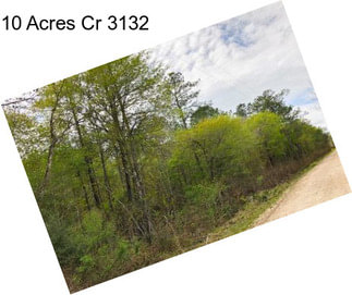 10 Acres Cr 3132