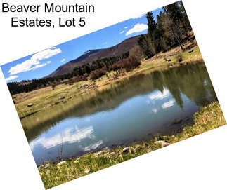 Beaver Mountain Estates, Lot 5