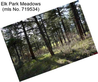 Elk Park Meadows (mls No. 719534)