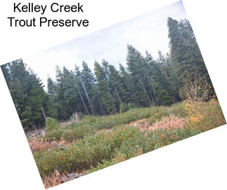 Kelley Creek Trout Preserve