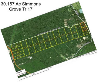 30.157 Ac Simmons Grove Tr 17