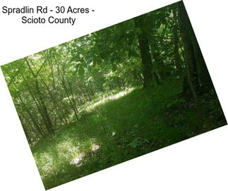 Spradlin Rd - 30 Acres - Scioto County