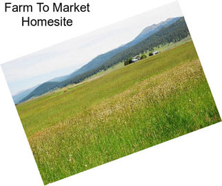 Farm To Market Homesite