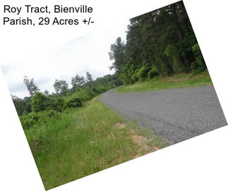 Roy Tract, Bienville Parish, 29 Acres +/-