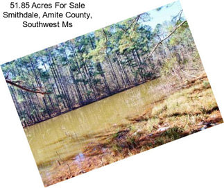 51.85 Acres For Sale Smithdale, Amite County, Southwest Ms