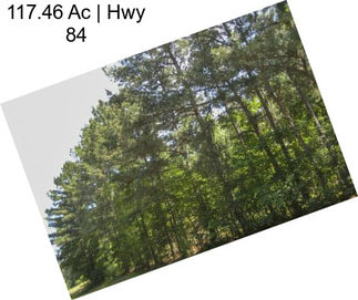 117.46 Ac | Hwy 84