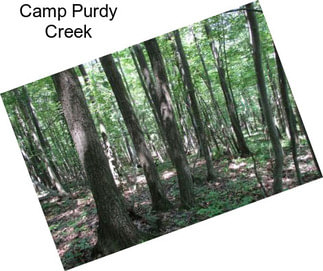 Camp Purdy Creek